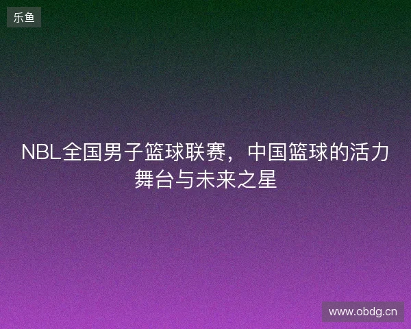 NBL全国男子篮球联赛，中国篮球的活力舞台与未来之星