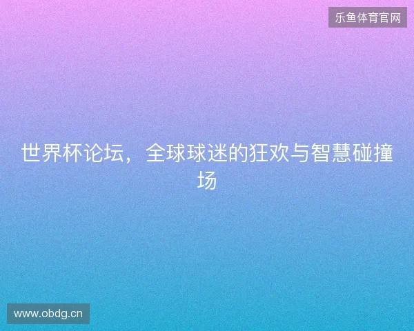 世界杯论坛，全球球迷的狂欢与智慧碰撞场