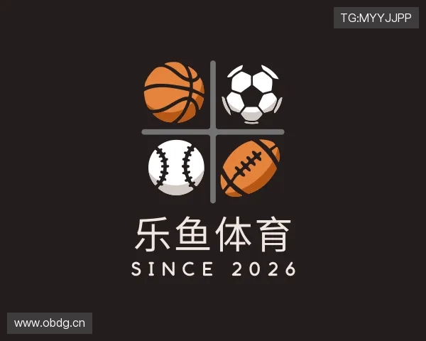 概述leyu